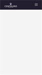 Mobile Screenshot of grupocentauro.mx